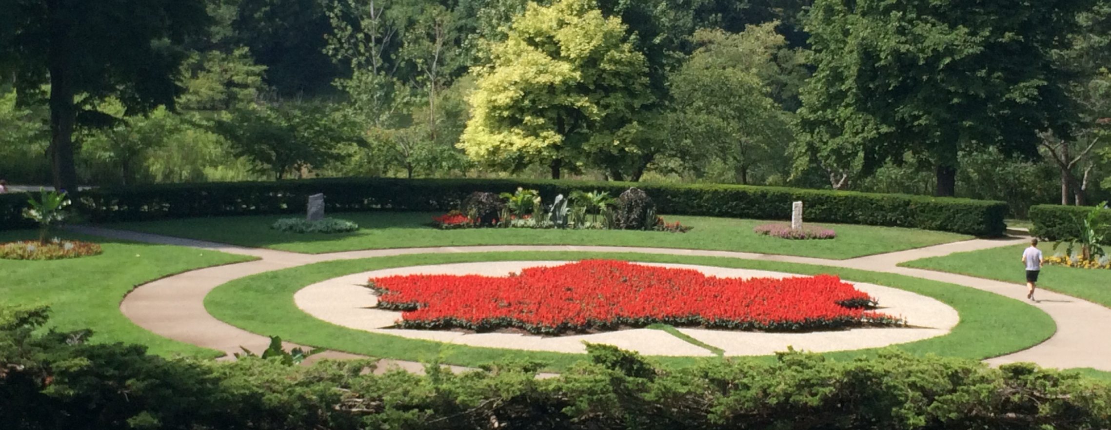 Real Estate in High Park North Toronto Red Square Team