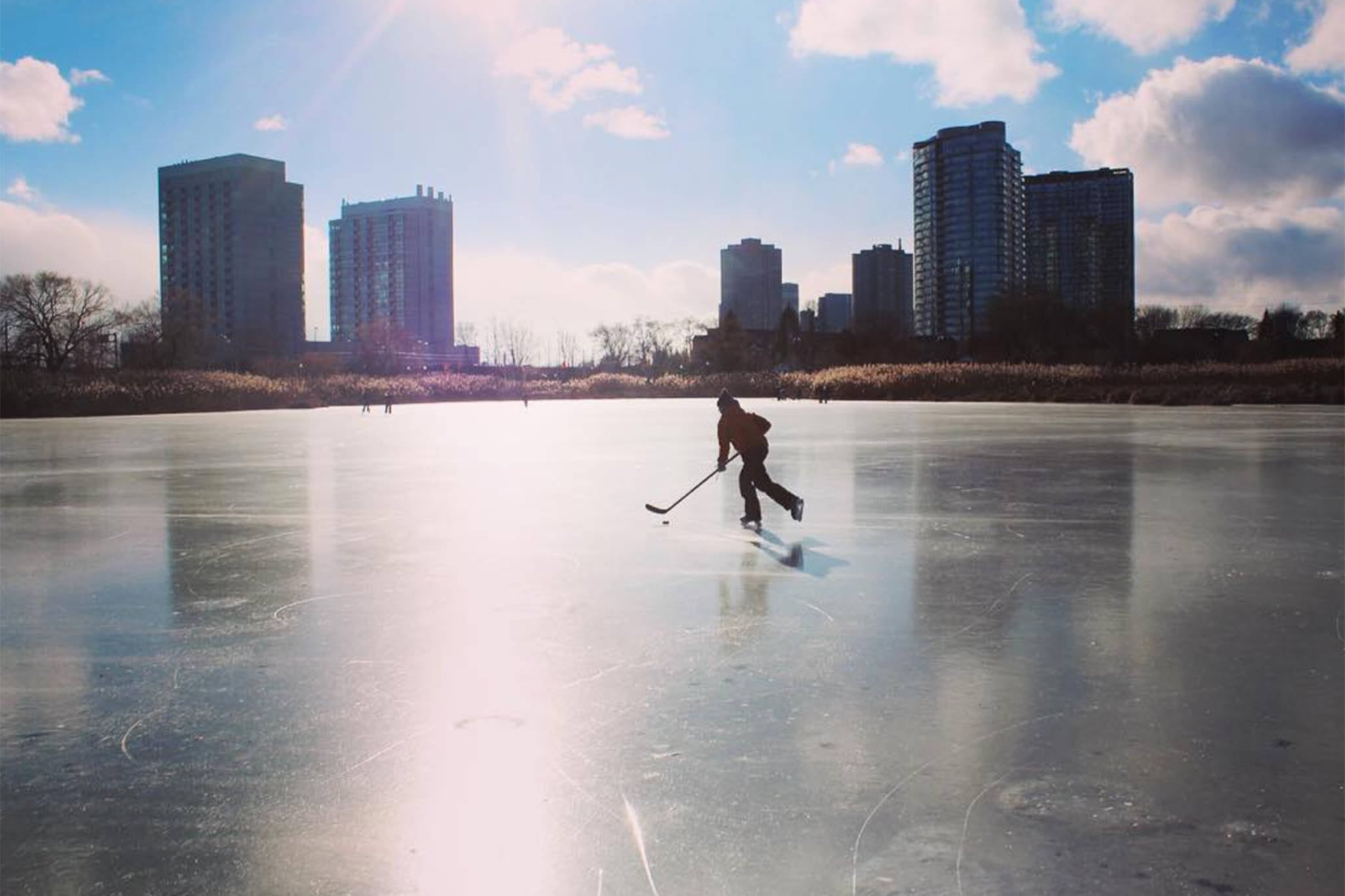 SwanseaHigh Park Real Estate & Community Guide Red Square Team